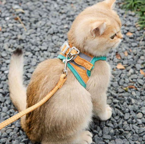 Vest-Style Cat Leash